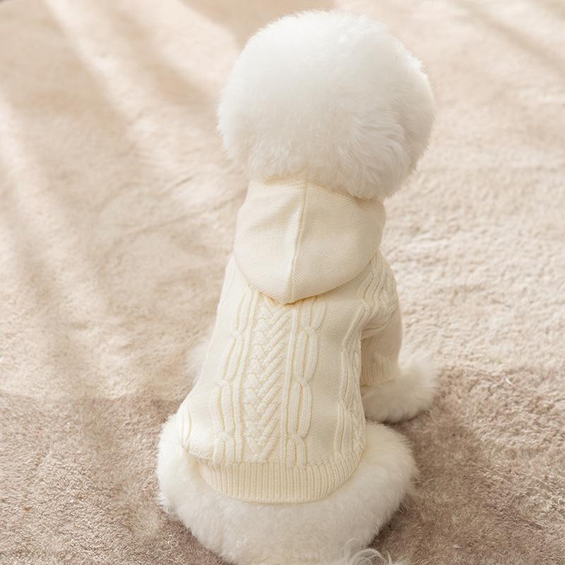 Early Autumn Dog Sweater Autumn and Winter Warm Hooded Hairball Two Feet Teddy Cat Small Dog Pet Bigbear Clothes