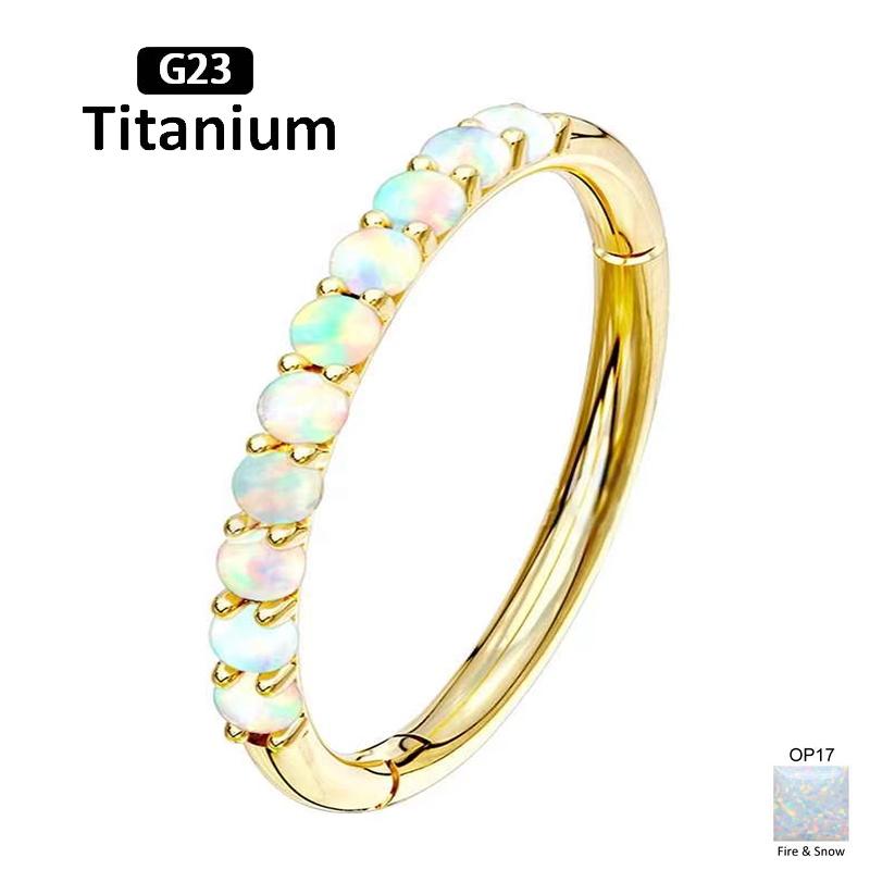 G23 Titan Opal Stein Hohe Segmentringe Offen Kleine Nasen Septum Clicker Ohrringe Tragus Helix Piercing Körperschmuck Ring Stecker