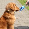 2 in 1 Portable Pet Dog Water Bottle for Small Medium Big Dogs Cat Hiking Multifunctional Food Container Drinking Bowl Supplies