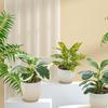 Lifelike Artificial Plants Bonsai Plastic Green Pot Plants Decoration  Wedding