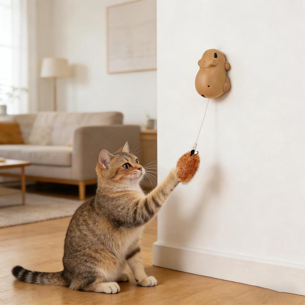 Rechargeable Electric Cat Toy with Motion Sensor Interactive Ball for Kitten & Adult Cats, Indoor Outdoor Play for Home Park