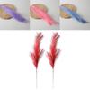 Simulated Phragmites Australis With Bright Feathers For Event Decoration And Photo Shoots