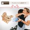 Apricity 3D Wooden Adult Puzzle (Roller Coaster)