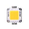 1Pc Cob Led Light Dc Led Bulb Chip On Board 10W 20W 30W 50W 70W 100W 2 Colors