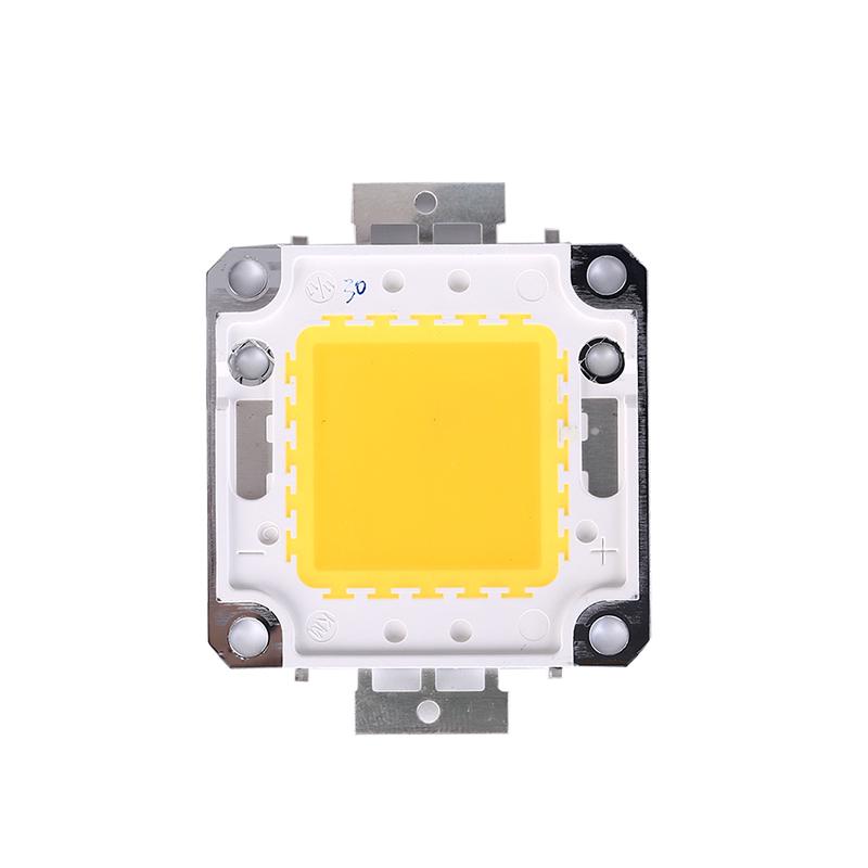 1Pc Cob Led Light Dc Led Bulb Chip On Board 10W 20W 30W 50W 70W 100W 2 Colors