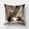 Cute Cat Print Decorative Cushion Pillowcase  Cover Pillow Sofa Living Room