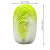 Miękka Zabawka do Ściskania w Kształcie Kapusty Napa Miękki Kształt Warzywa Squishy do Uwalniania Napięcia Fidget Toy