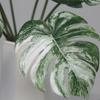 Fern Plant Artificial Tropical Palm Branches Tropical Plants Fake Palm Leaves  Desktop Decoration