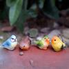 Yousheng Mini Bird Figurine Tiny Resin Bird Cake Topper Miniature Bird Animal Figure for Dollhouse Accessories Fairy Garden Plant Pot Ornaments