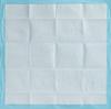 Factory Direct Disposable Puppy Pet Training Pee Pad Mat Custom Weight Absorbent Cloth Waterproof for Home Use for Cat Dog