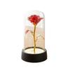 Valentine's Day Gift Rose Immortal Flower Glass Cover Night Light Qixi Festival Mother's Day Christmas Creative Ornament