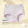 FENTENG Women's 4-Pack Cotton Antibacterial Briefs