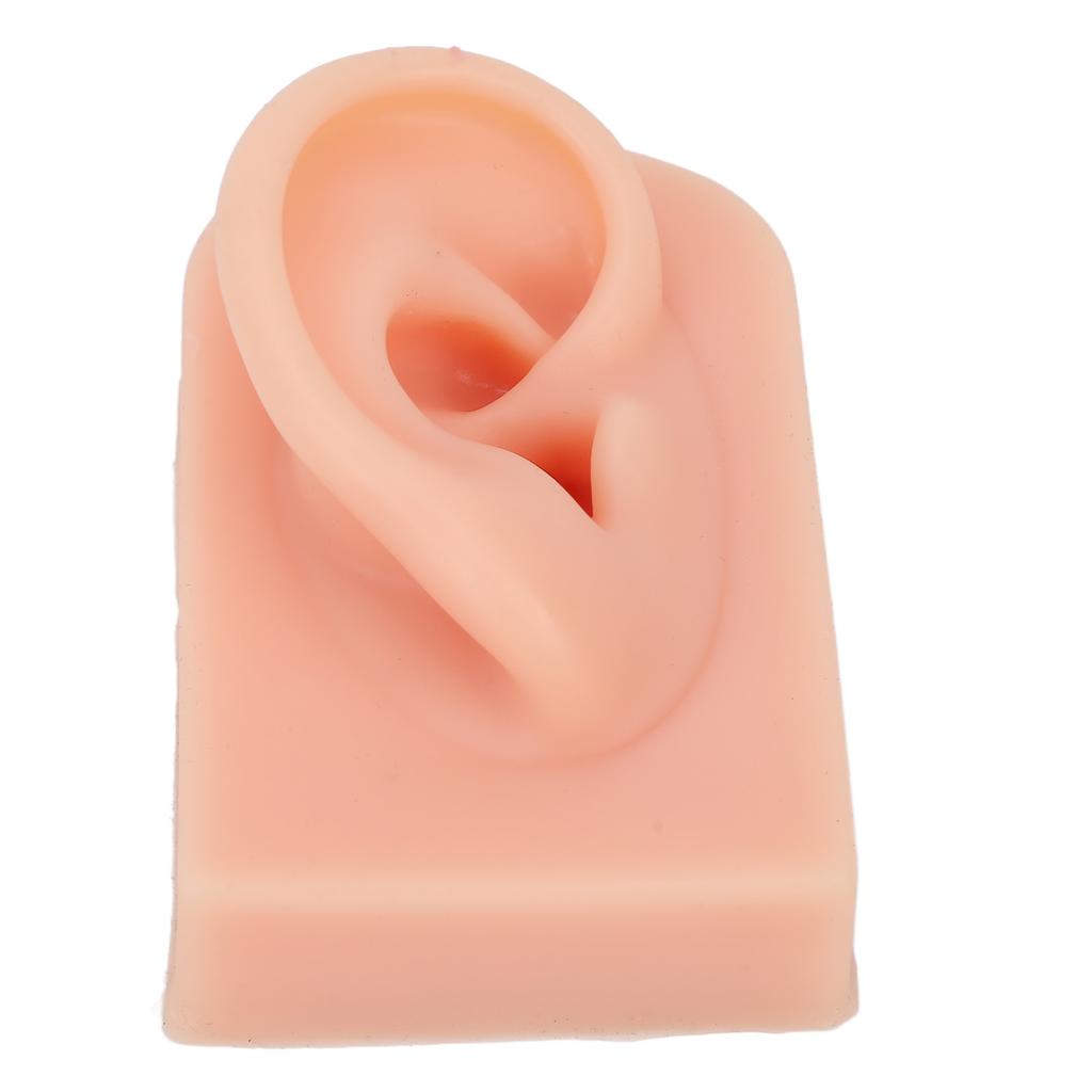 Silicone Ear Model Soft Flexible Right Ear Reusable Human Ear Model for Ear Piercing Training And Earrings Display
