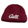 New Embroidered Letter Knitted Hat for Women Autumn and Winter Street Warm Woolen Hat for Students Thickened Ear Protection Hood Cold Hat