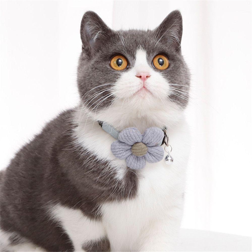 sunflower cat collar