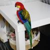 Artificial Parrot Figurines Photo Props Feather Parrot Macaw for Pathway Ornaments
