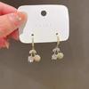 Japanese and Korean Design Sense Fashion Cute Fruit Earrings Female Creative Girl Heart Sweet Cool Stud Earrings Versatile Personality Trendy Earrings