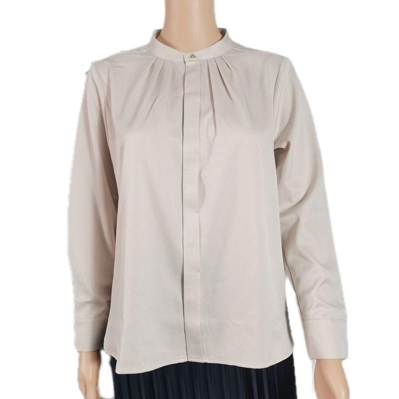 Order Imitation Satin Surface Stand Collar Hidden Hook Long Sleeves Shirt Female Stylish Niche Temperament Professional Pure Color Spring & Fall