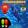 RIZES LED Lights for Night Electric Top Sea Sabiki Chemical Swan for Fukase Hera Night 4 Size 5 Fishing, Floats, Floats, Fishing, Fishing, Lights,