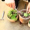 Weeding Stainless Steel Gardening Spade Digging Shovel Rake Small Garden Shovel  Agricultural