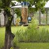 Pet Bird Feeder Outdoor Hanging Pet Food Dispenser Multiple Holes Bird Feeder Automatic Foot Feeding Tool for Flying Animals