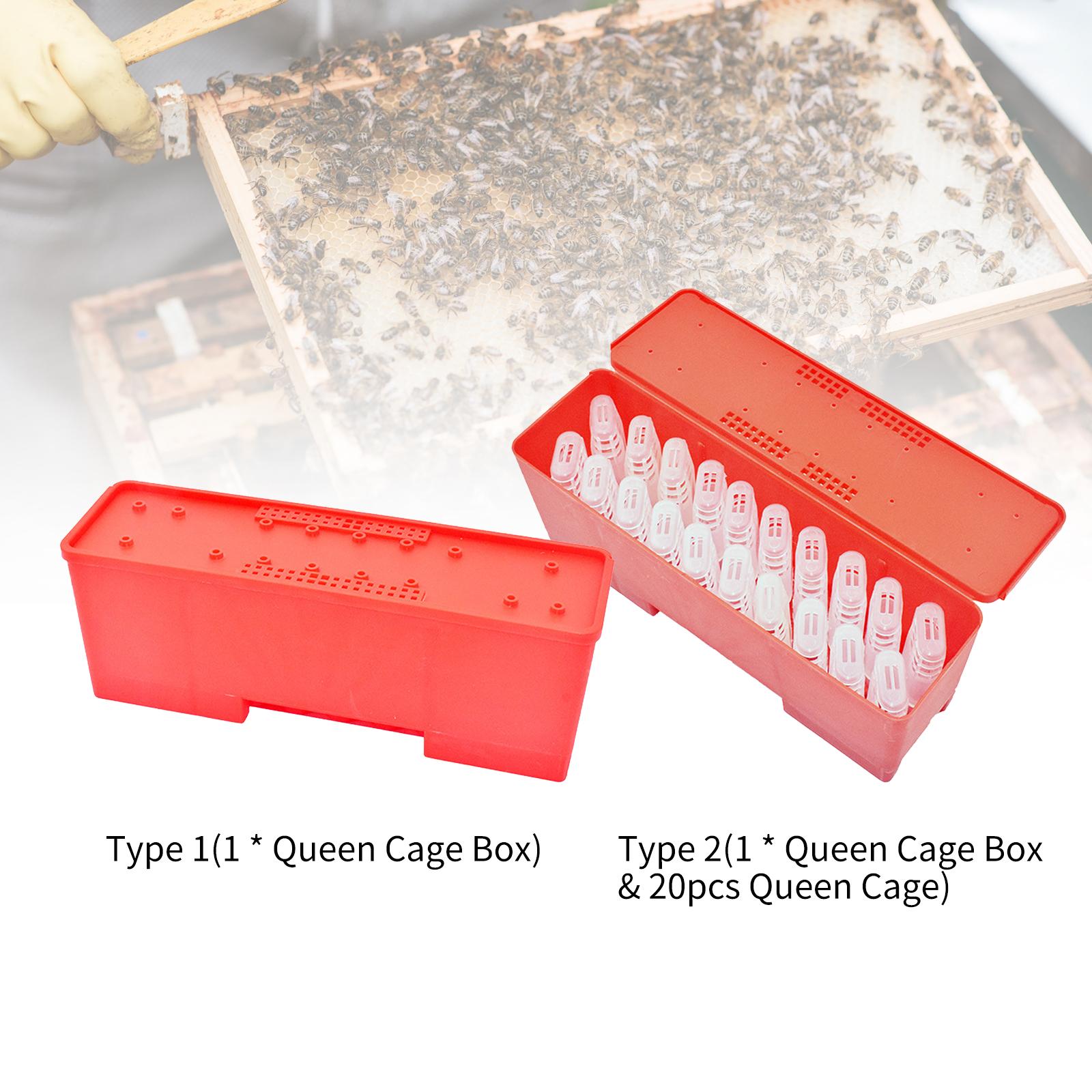 

20PCS Bee Cage with Transport Box Bee Cage Holder Bee Rring System for Beekeeper Supplies Tool Kit