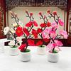 1PC Simulation Ornament Potted Plants Decoration Bonsai Adorn Wintersweet Plastic Moss Elegant Artificial Flowers