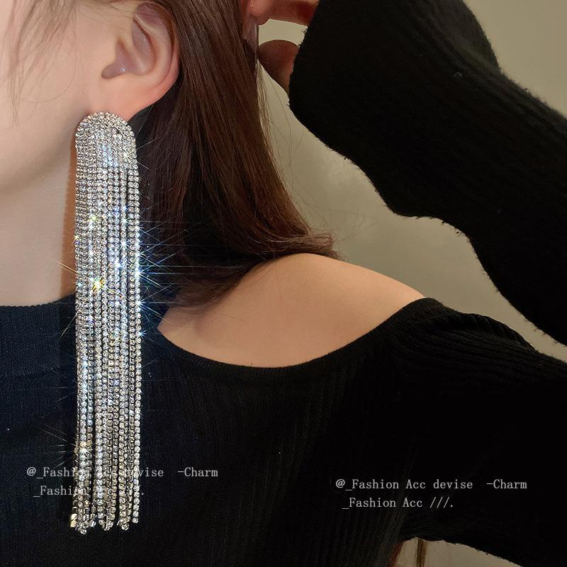 Silver needles full of diamonds, long metal fringed earrings, European and American exaggerated high-end studs, niche versatile earrings, women