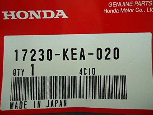 Honda Hornet 250 Genuine Air Filter 17230-KEA-020