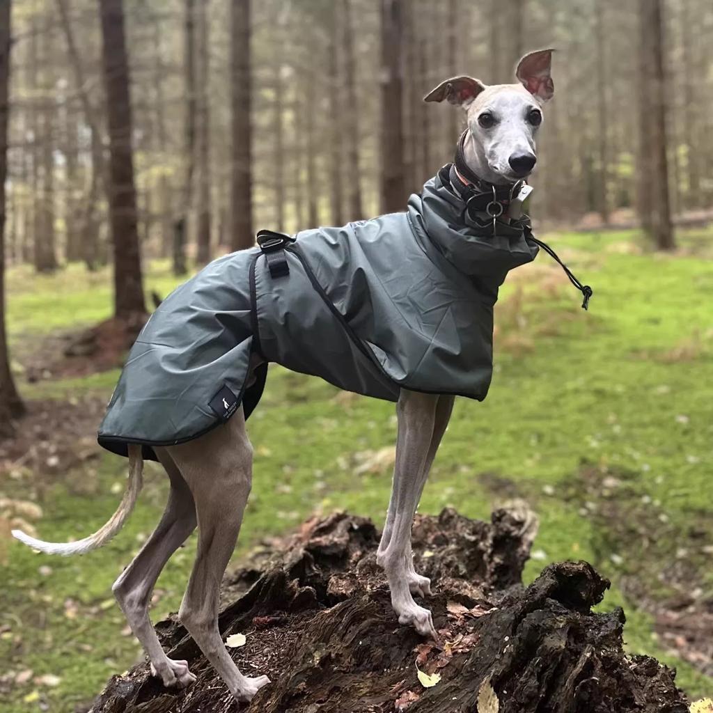 Modischer Regenmantel für Airless Terrier Weiche Welpenkleidung Warmer wasserdichter Mantel für Italienischen Windhund Whippet Hundejacke
