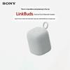 Sony LinkBuds SRS-LS1 Wireless Home Speaker