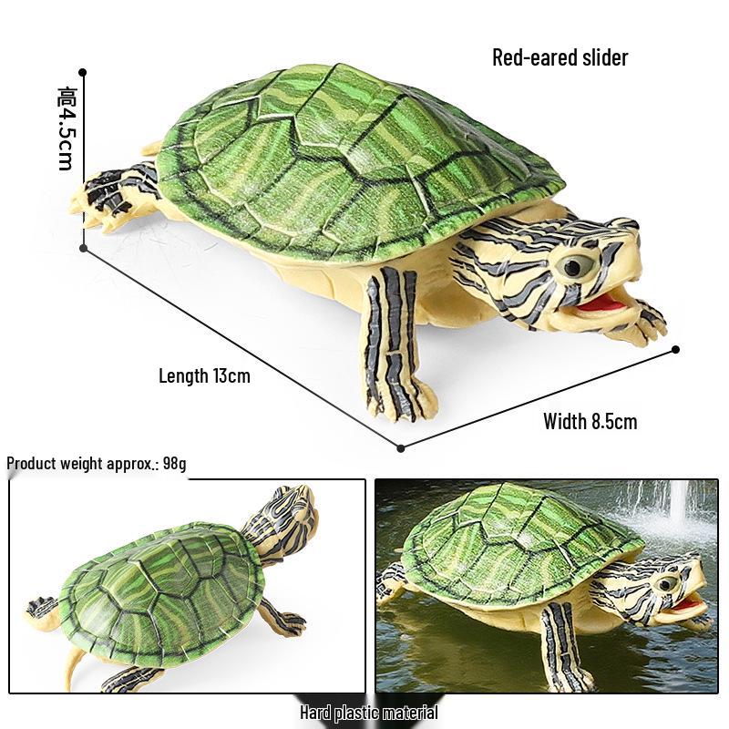 Children's Cognitive Marine Animal Models: Sea Turtle and Tortoise Toys
