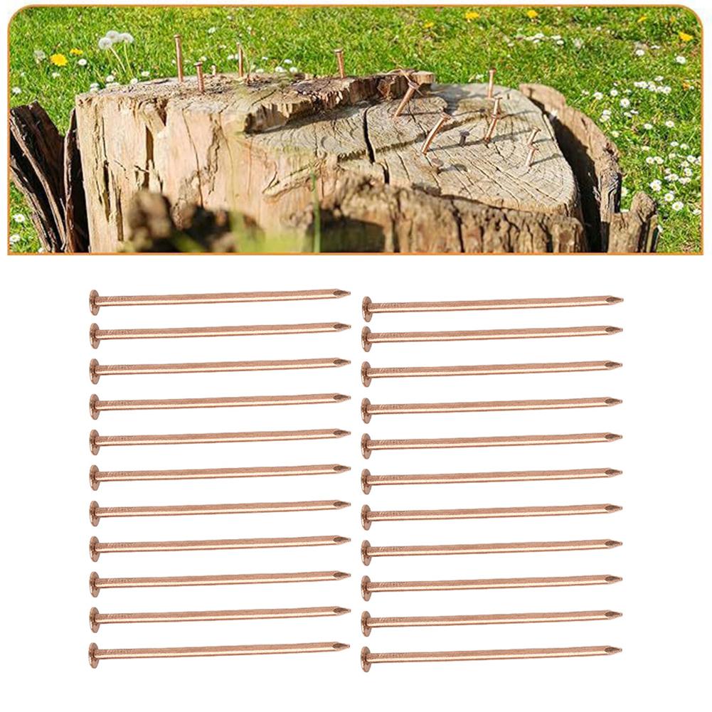 3 5 Inch Copper Nails for Killing Tree Roots and Stumps Effective Hardware for Tree Stump Removal and Root Control