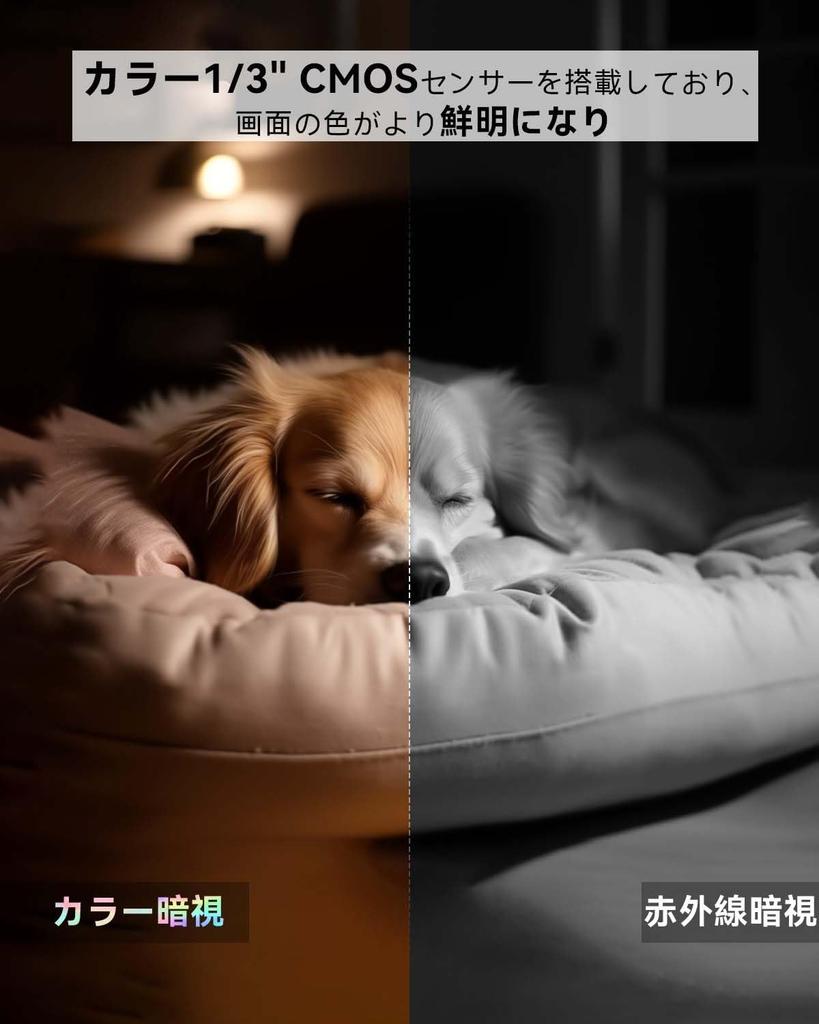 Of Full Color Night 3 Pet Surveillance Security Home Automatic Human PTZ Alarm Remote Compatible with Baby Surveillance Warranty [Set 2, Vision,