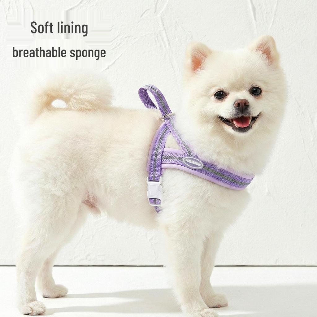 Saddle-Style Shock-Absorbing Dog Harness and Leash for Walking Bichon, Teddy, Corgi