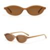 PC Women HD Sunglasses Leopard Print Anti-UV Glasses Catwalk Cat Eye Sunnies  Punk Style