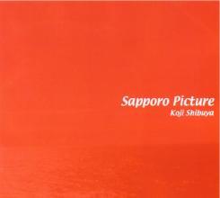 CD KOJI SHIBUYA Sapporo Picture IGD015 Igloo Records 2007 Japan Pop Used
