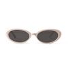 Glasses B106 Small Frame Oval Tortoiseshell Transparent Frame Cat Eye Sunglasses, Popular Women