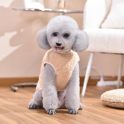 Giyim ve ayakkabı – Köpekler için yelekler ve gömlekler