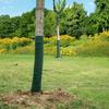 3 Rolls Winter-Proof Tree Protector Wraps Antifreeze Trunk Guard for Trees & Shrubs Fruit Tree Young Saplings Stems Pest Control
