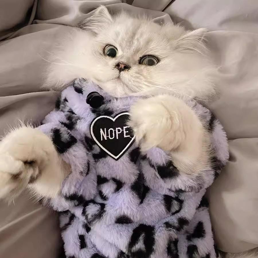 Leopard Print Winter Thick Plush Pet Plus Velvet To Keep Warm French Terry Even Cat Blue Cat English Short Cat Cotton-padded Clothes