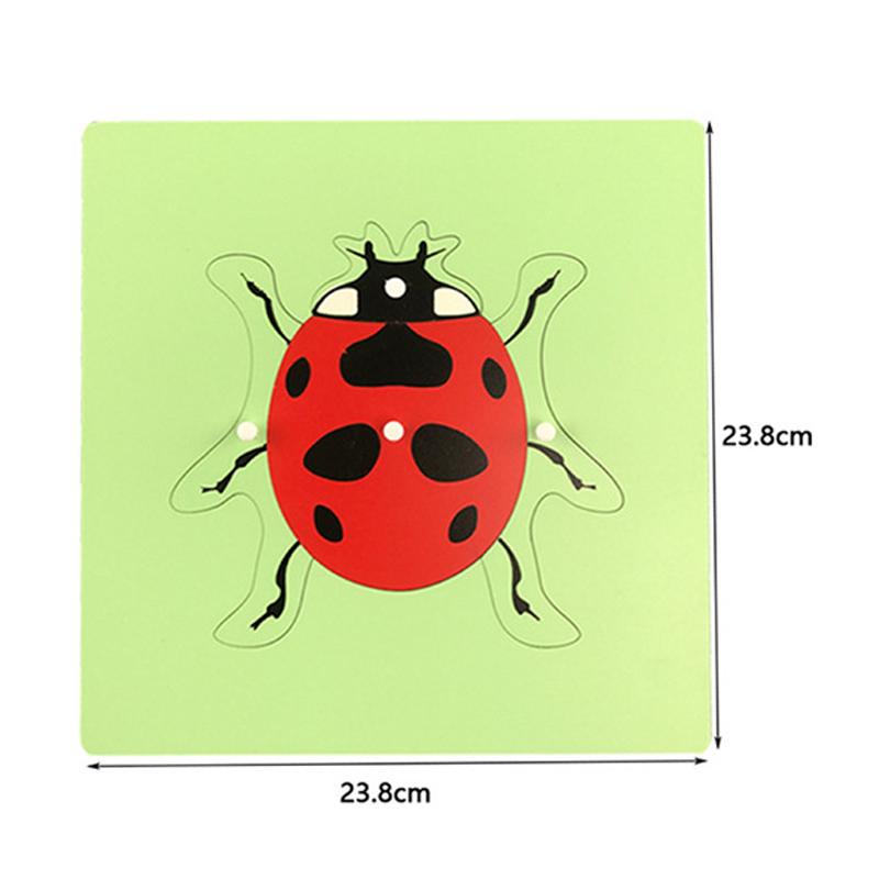

Montessori Parish Learning Puzzles Toys Wooden Animal Plant Grasping Board Jigsaw Sensory Cognition Open Teaching Aids Material