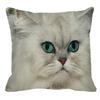 Persian Cat Linen Pattern Double-sided Printed Pillow Cover Short Plush Suitable Living Rooms Bedrooms Sofas Throw Cushion Cover