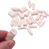 28/32pcs Dental Teeth Model For Dental Technician Practice Replacement Teeth For Nissin Models / Dental Simulator Head Model