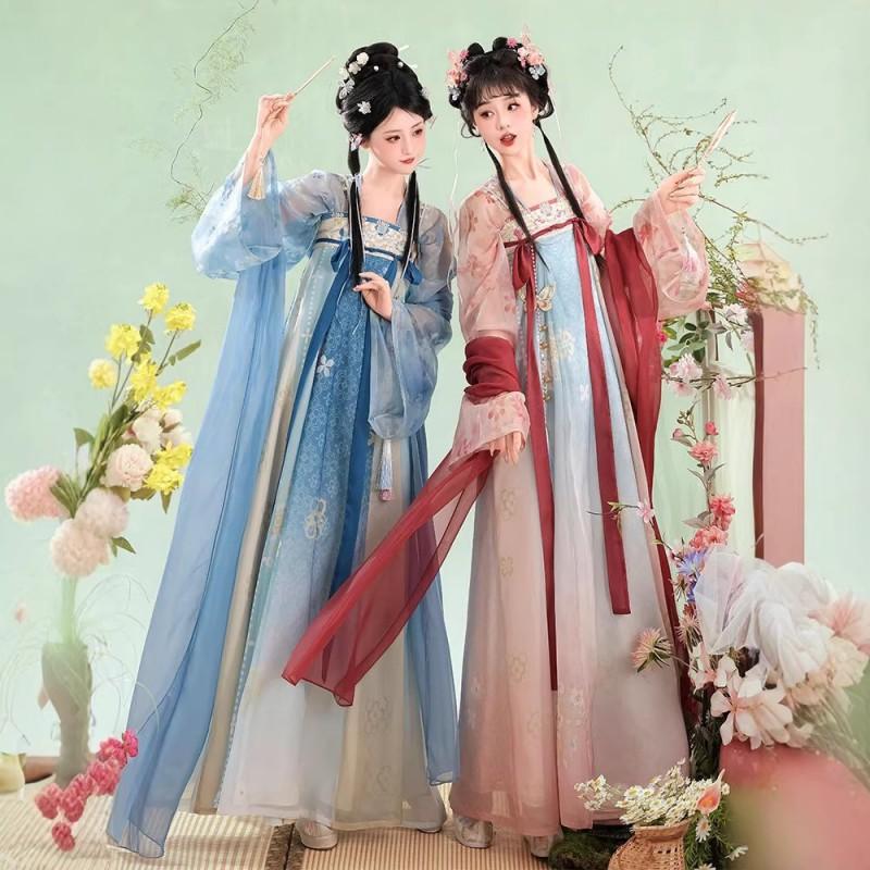Womens Tang Dynasty Style Hanfu Set With Embroidered Floral Print Lightweight Chiffon Top High-Waist Skirt Daily Wear