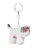 SOFTTHUMBNAIL Milk, Domestic Shorthair