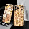 C-Capybara Phone Case For IPhone 17 Air 16 E Pro Max 15 14 13 Mini 12 Pro 11 Max Plus Black Soft Shell