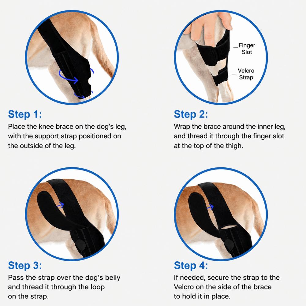 Adjustable Pet Leg Support Flexible Pet Recovery Bandage Dog Leg Protector Leg Injury Care