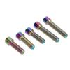 5Pcs Derailleur Screws M4 3Pcs 13.5 2Pcs 20mm Titanium Alloy Rustproof Easy Installation Cage Screws for Mountain Bike