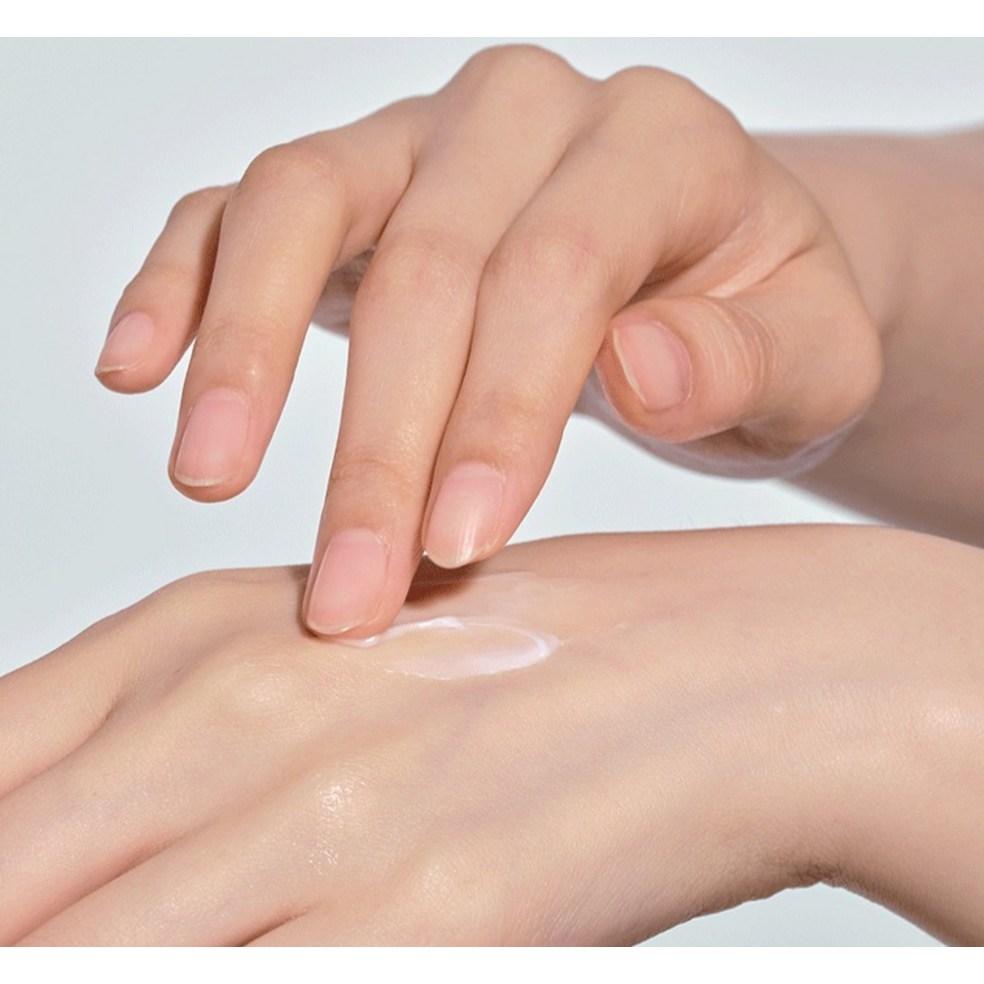 Innisfree Green Tea Ceramide Cream